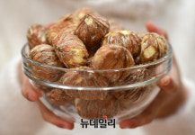 [포토] 롯데마트 껍질 벗긴 율피밤 맛보세요
