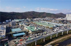 대구농수산물도매시장, 공영 도매시장으로 자리매김
