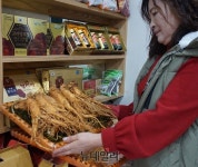 [전통시장] 인삼고장 증평장뜰시장 장날 ‘시끌벅적’