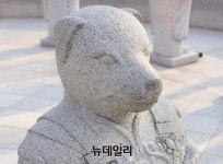 [오늘의 운세] 돼지띠, 침체되니 유비무환 자세를 생각하라