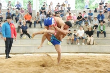 ‘2019 경산자인단오제 대학장사 씨름대회’, 박진감 넘치는 경기로 1천 관중 몰려