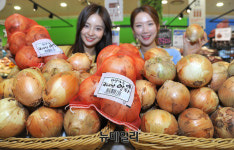 [포토] 한 망에 양파 가득 담아가세요