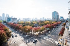 대구도심공원, ‘가족나들이’ 행사 풍성