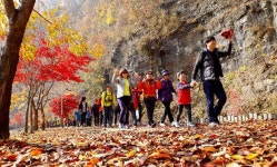 영양군 외씨버선길·봉화군 낙동강세평하늘길 2곳, 걷기여행 축제 사업 선정