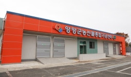 양양군농산물종합가공센터, 12일 준공
