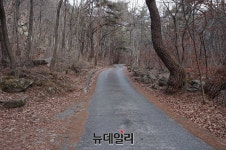 [충청도 트레킹] 제천 자드락길, 산모퉁이 돌아 구불구불…청풍호 ‘일망무제’
