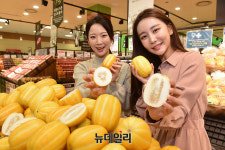 [포토] 롯데마트 당도 높은 성주 참외 맛 보세요