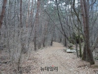 [충청도 트레킹] 충주 하늘재, 문헌상 최초의 고개·과거길 ‘시초’