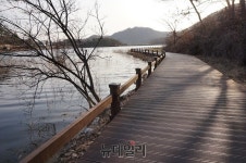 [충청도 트레킹] 음성 쑥부쟁이길, “해가 들고 달이 품어 날 비추네”