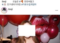 가로수길 개엄마 생일파티에 낙타과 알파카 동원 논란