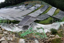 산림청, 산사태 위험 남부지역 태양광발전시설 점검