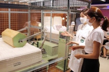 롯데百, 리빙 상품군 총동원…  ‘홈스타일 페어’ 진행