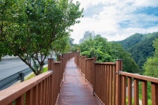 증평군, ‘좌구산 분젓치 산새길 테마로드’ 조성