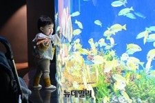 [포토] 아쿠아플라넷 광교 수원컨벤션센터에 19일 개장