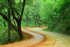 대전 계족산 황톳길 ‘한국관광 100선’ 4회 연속 선정
