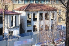 “근대문화유산 옛충남도청사 향나무 등 잘려나가”