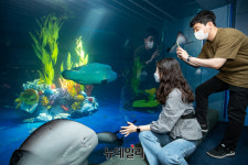 [포토] 롯데월드 아쿠아리움 새롭게 단장한 메인수조로 오세요