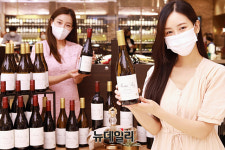 [포토] 롯데百 가성비 와인 마틴 레이 만나보세요
