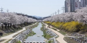 영주 원당천, ‘사람과 자연 공존하는 소하천’ 선정