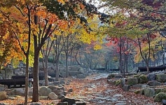 달성군시설관리공단, 추석연휴 비슬산 자연휴양림 정상 운영