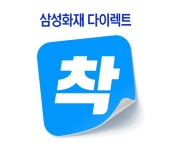 손보업계, 디지털손보냐 대형사 다이렉트냐…주도권 쟁탈전 예고