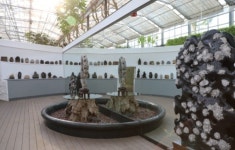 세종 베어트리파크, 내달 4일부터 수석·꽃돌 140여점 전시회