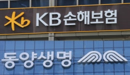 대출 빗장푼 삼성화재·DB손보…KB손보·동양생명은 관망중