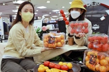 감귤은 구워 드세요 롯데마트, 캠핑갈 때 감귤 출시