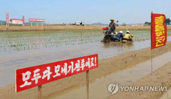 “北, 올 겨울 식량부족 가능성…모내기철 코로나 봉쇄 영향”