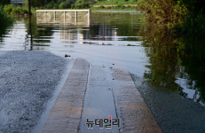 [포토] 탄천·양재천 곳곳 침수 자전거·산책 주의하세요