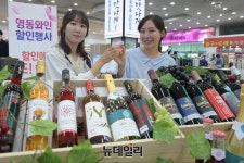[포토] 농협유통 충북 영동서 생산된 K-와인 맛보세요