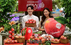[포토] H&B아시아, 높은 당도·산미 프리미엄 엔비사과 출시