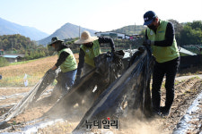 [포토] 충주 중원농협 농가 일촌돕기 나선 농협유통