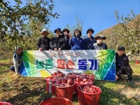 포항시 북구청 세무과, 가을철 농촌일손돕기 봉사활동 구슬땀