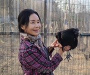 논산시·연산오계재단 “烏鷄, 지역 향토음식으로 개발”