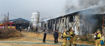 세종 연기면 돈사 화재…돼지 100여마리 폐사