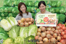 [포토] 농협 하나로마트 양재·창동점 배추·양파 3일간 할인 판매합니다