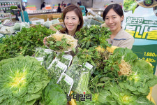 [포토] 농협 하나로마트 제철 맞은 봄나물로 영양 챙기세요