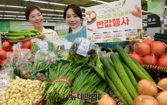 [포토] 농협 하나로마트, 채소 8대 품목 최대 50% 할인판매