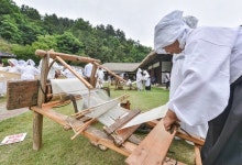 [忠淸道 축제] 1500년 역사 한산모시옷 아낙네의 ‘땀·눈물·恨’ 서려