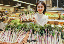 [포토] 현대백화점 땅두릅 신품종 ‘백미향’ 맛보세요