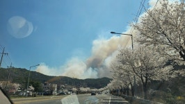금산 산불 ‘1단계’ 발령…대전 서구까지 ‘확산’