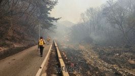 대전 산직동 헬기 18대·인력 2천명 …산불 진화 ‘사투’