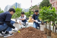 교원그룹, 초등학교에 교실숲 조성 봉사활동