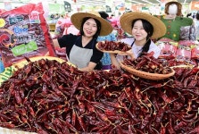 농협유통 하나로마트, 태양초 햇 건고추 한정 할인 판매