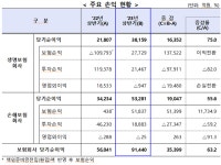 9조 순익 보험사 배당 왜 미루나… 