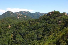 [진경수의 산 이야기] 기암 절경 암봉 거느린 속리산 서북릉 ‘묘봉’