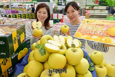 [포토] 농협 하나로마트 환절기 건강에 좋은 황금 사과 맛보세요