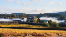 “서산 한우농장 감염될라”…국내 첫 럼피스킨병 ‘초비상’