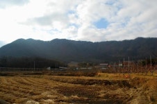 [진경수의 山 이야기] 손때 묻지 않은 순수한 山 ‘금적산’